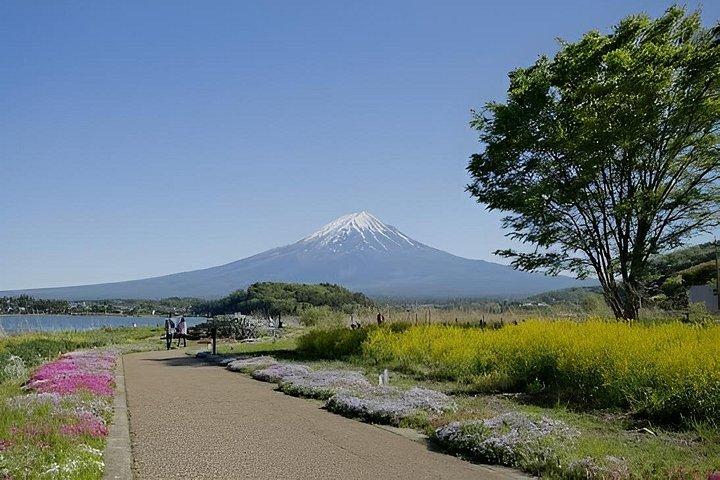 富士山日帰りツアー：加地加地ロープウェイ、忍野八海＆抹茶