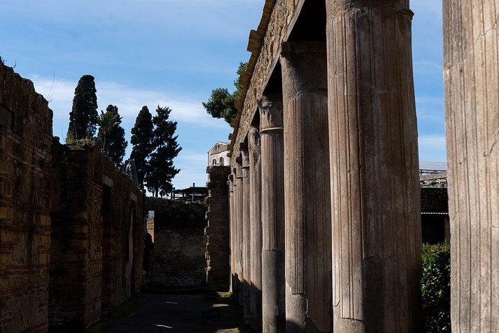 Private Guided Tour of Pompeii & Herculaneum UNESCO Sites