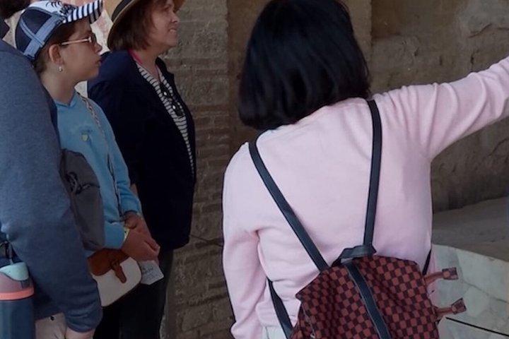 Pompeii Daily Roman Life Tour em pequeno grupo com um arqueólogo