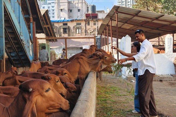 Private Mumbai Full Day/ Half Day Sightseeing by Car