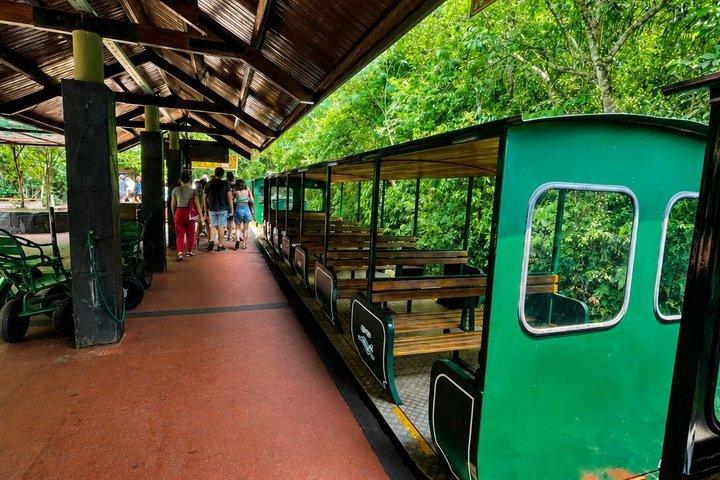 Iguazu Falls: Complete Argentine Side Experience