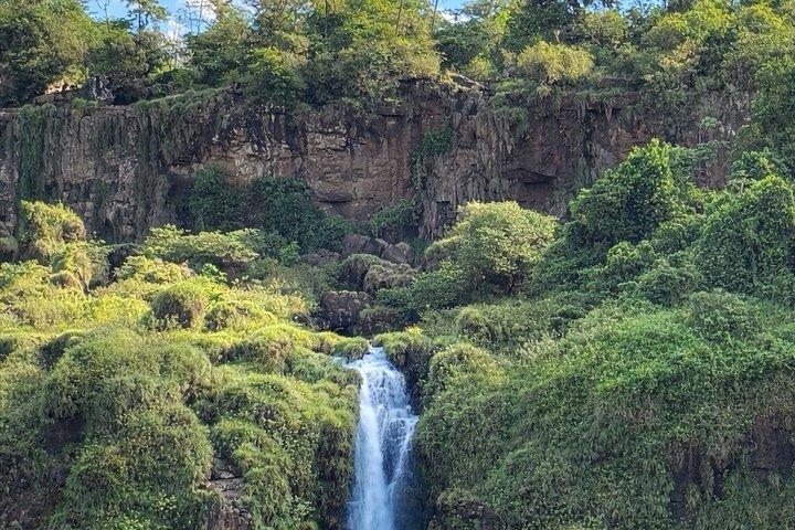 イグアスの滝：アルゼンチン側を完全満喫
