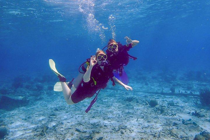Personalized Guided Shore Dive in Curaçao 1 or 2 Tanks