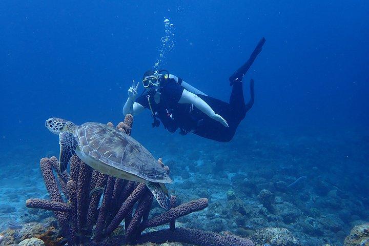 Personalized Guided Shore Dive in Curaçao 1 or 2 Tanks