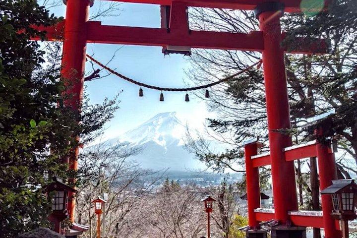 富士山と箱根のプライベートツアー（高級車付き）