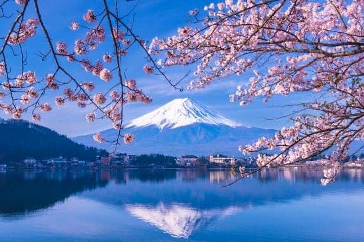 富士山と箱根のプライベートツアー（高級車付き）