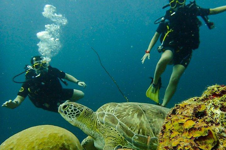 キュラソーでスキューバダイビングを発見 初めてのダイビング、あなたの流れ