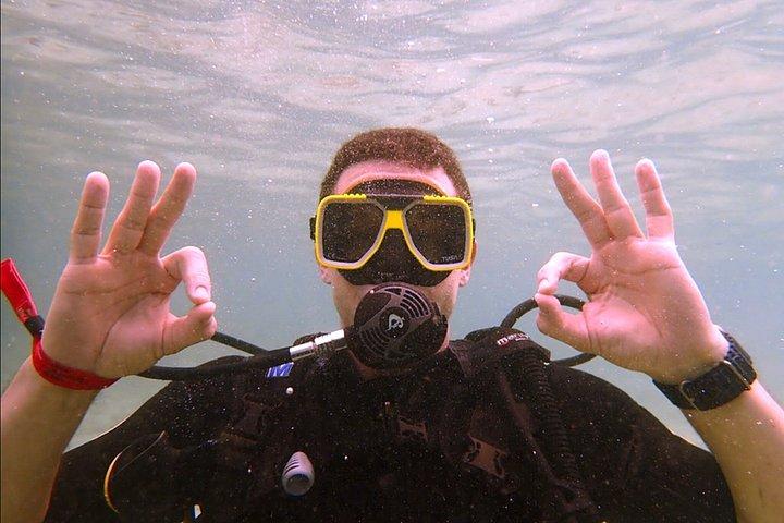 キュラソーでスキューバダイビングを発見 初めてのダイビング、あなたの流れ