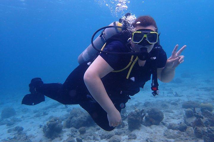 キュラソーでスキューバダイビングを発見 初めてのダイビング、あなたの流れ