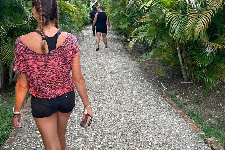 Blue Hole Mineral Spring och Rastafari Herb Farm Experience