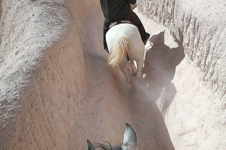 カッパドキアで乗馬の冒険を楽しむ