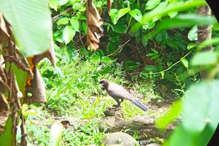 Seværdigheder i Parque Nacional del Manu: 4 dage
