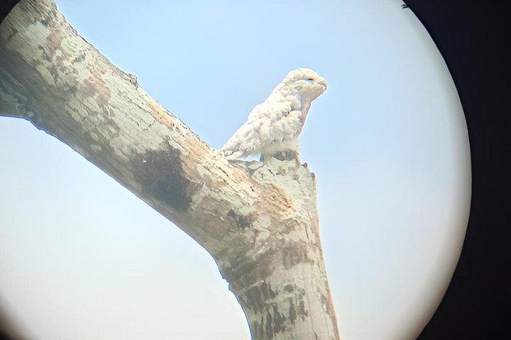 Seværdigheder i Parque Nacional del Manu: 4 dage