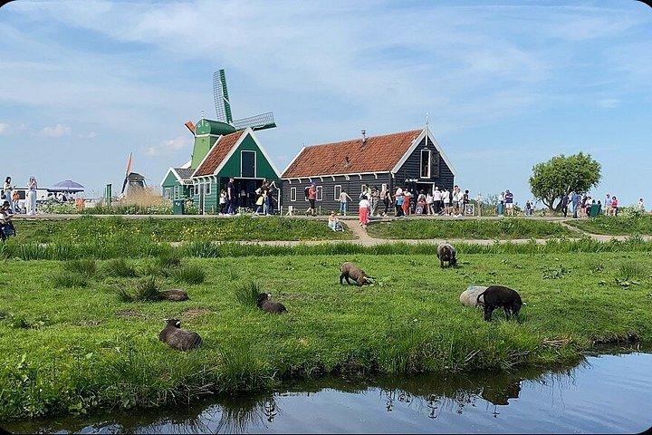 Zaanse Schans Vindmøller og Landskabstur fra Amsterdam