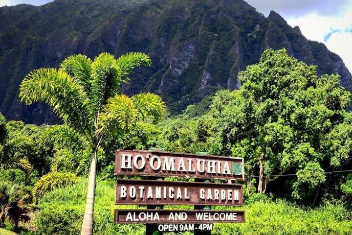 オアフ島グランドサークル島ツアー：ドール、平等院、カメなど