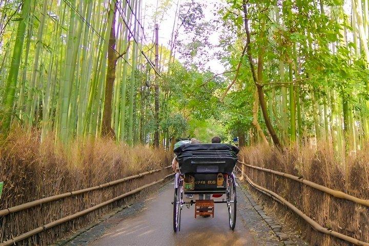 Excursion privée à Kyoto au départ de Kobe All Inclusive