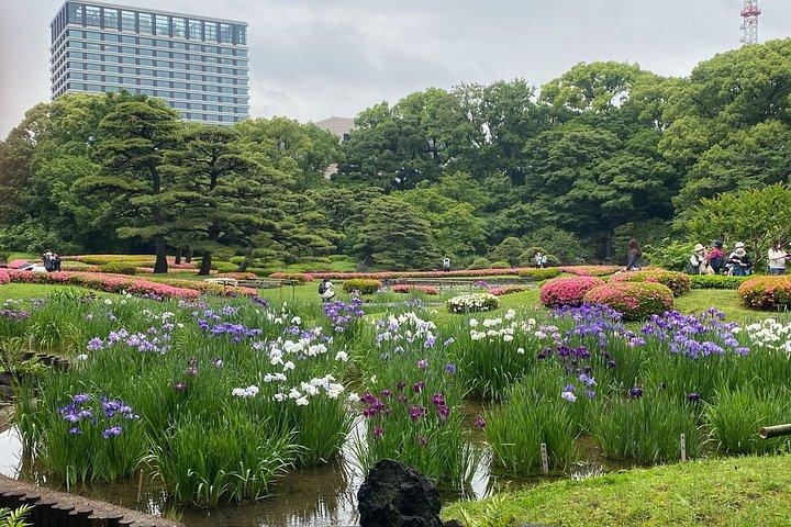 皇居東御苑と江戸城散策ツアー in 東京