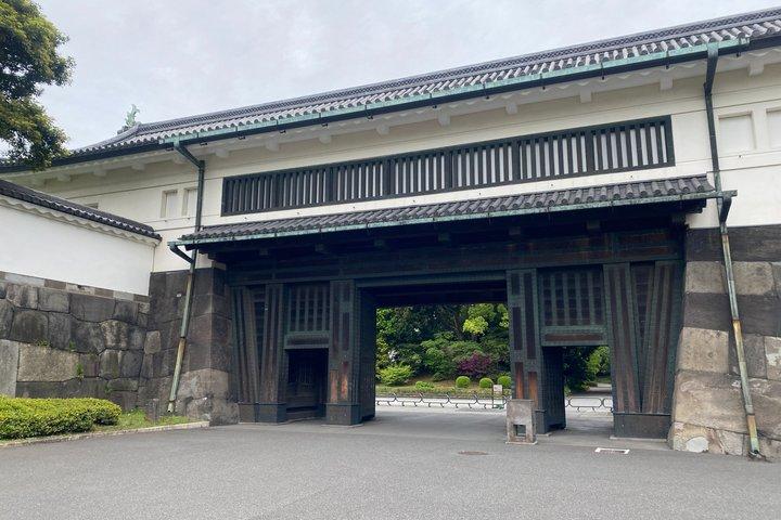 Imperial Palace East Garden and Edo Castle Walking Tour in Tokyo