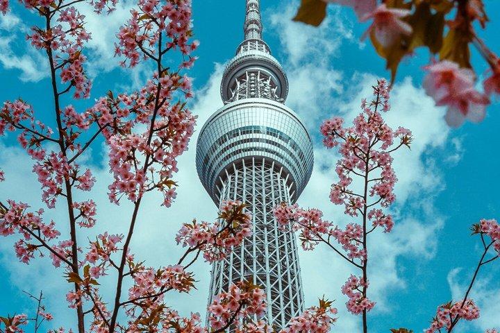 Tour privado cultural con amigos musulmanes de Tokio