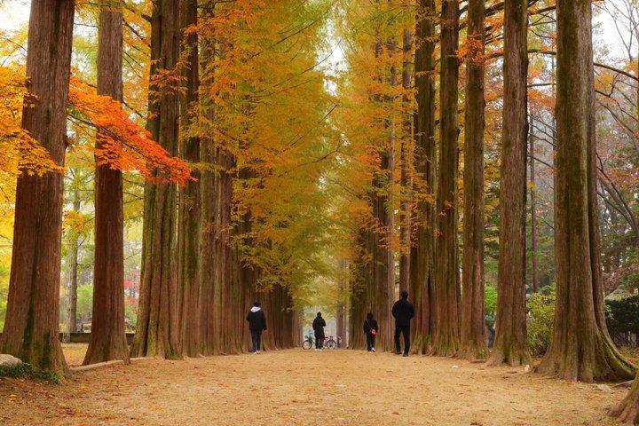 Parc national de Seoraksan et île Nami