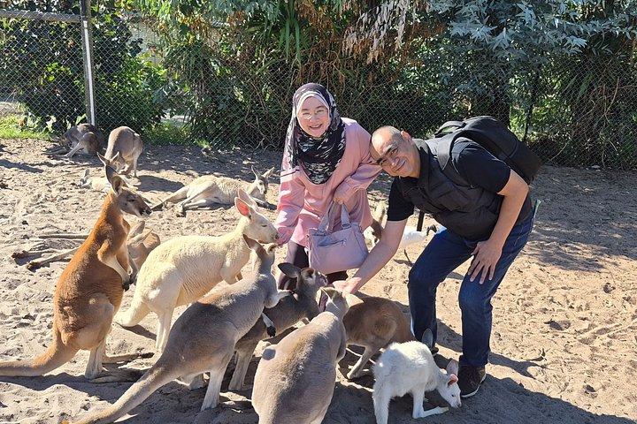 Australian Wildlife and Wine Tasting