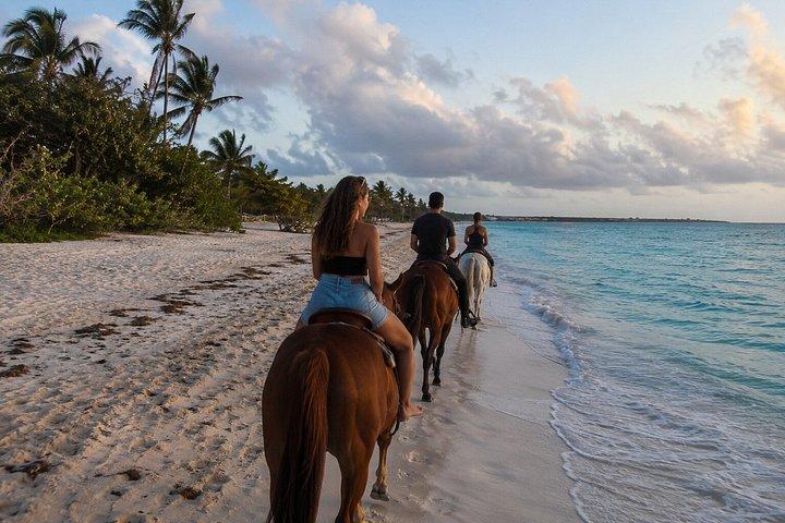 Turks & Caicos Sunset Horseback Ride at Blue Hills Beach