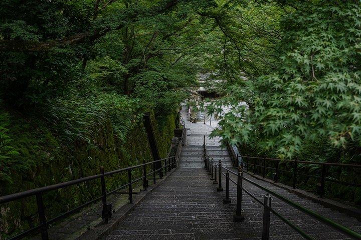 京都朝散歩／密を避ける：祇園・八坂塔＆清水