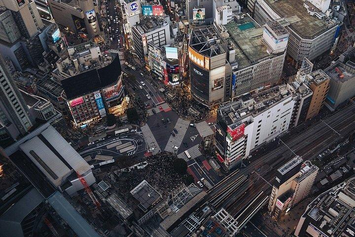Tokio destaca tour privado