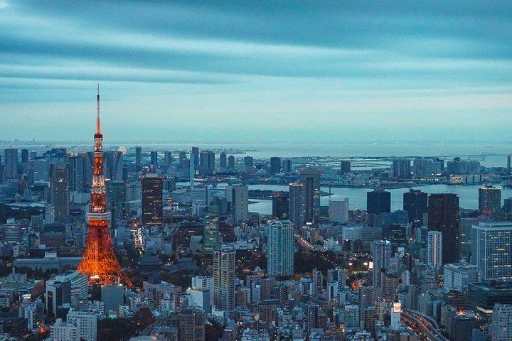 Tokio destaca tour privado