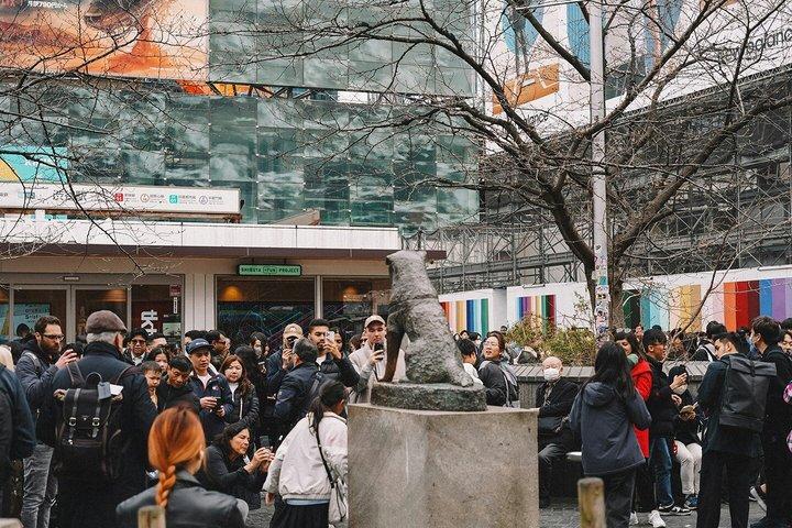 Tokio destaca tour privado