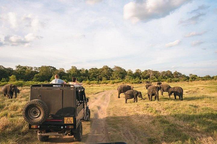 ミネリヤ国立公園象ジープサファリツアーシギリヤ