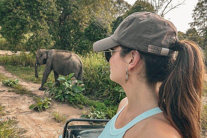 Minneriya nationalpark Elefantsafari