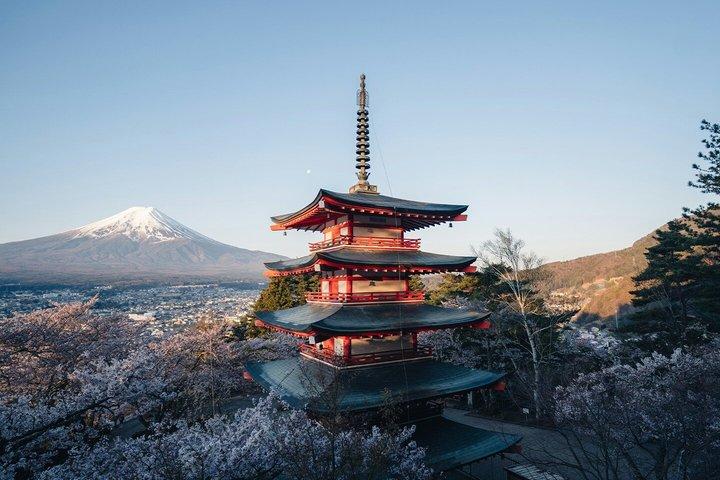 Mount Fuji and Hakone Private Tour