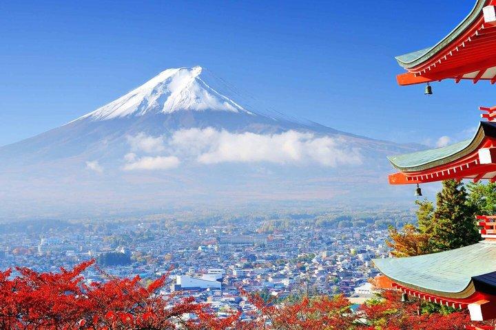 Mount Fuji och Hakone privat rundtur