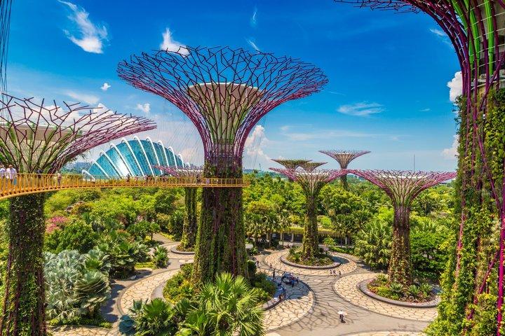 Gardens by the Bay Eintrittskarte in Singapur
