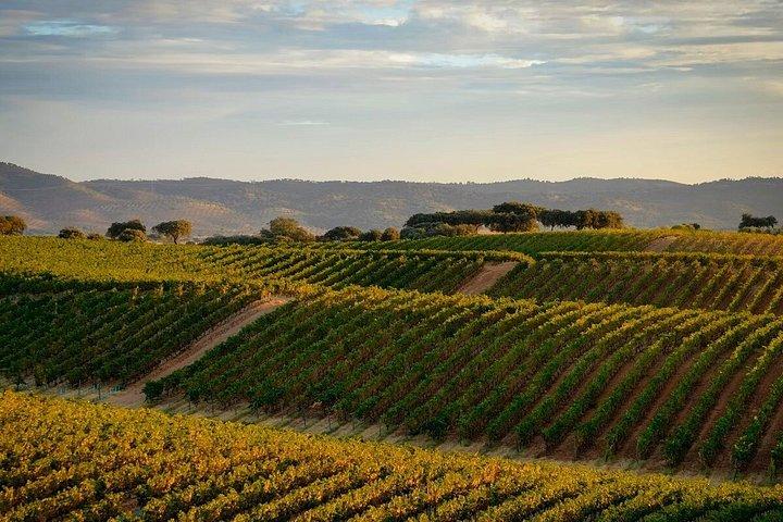 Alentejo : Arraiolos, Estremoz & Wine Tasting Experience