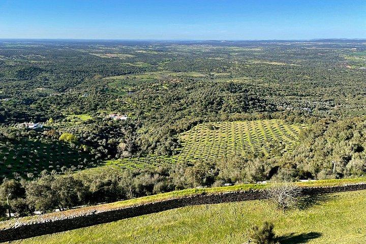 Alentejo : Arraiolos, Estremoz & Wine Tasting Experience