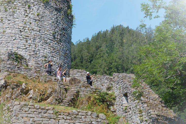 インターラーケンバレーEバイクツアー： 川、湖、森、城