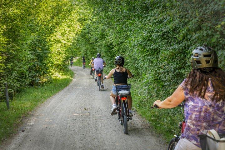 インターラーケンバレーEバイクツアー： 川、湖、森、城