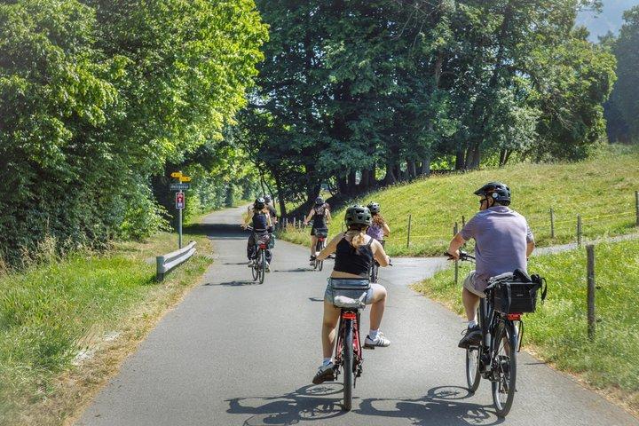インターラーケンバレーEバイクツアー： 川、湖、森、城