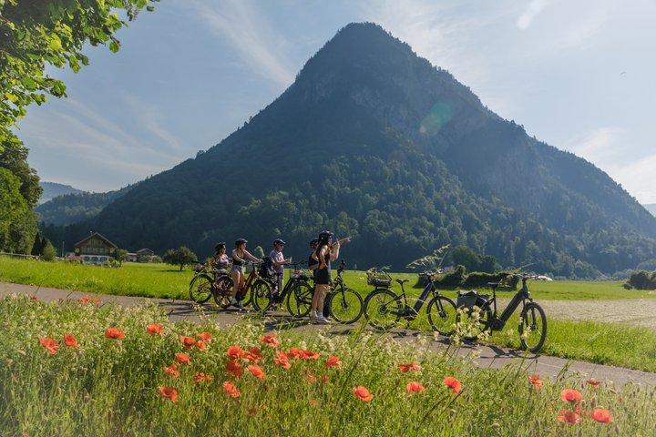 Interlaken Valley E-Bike Tour: Fiumi, laghi, foreste e castelli