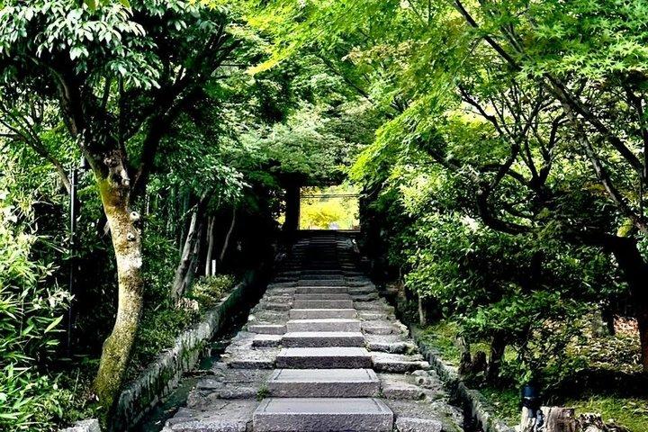 京都・祇園散歩 with ローカル 文化・芸者ワールド