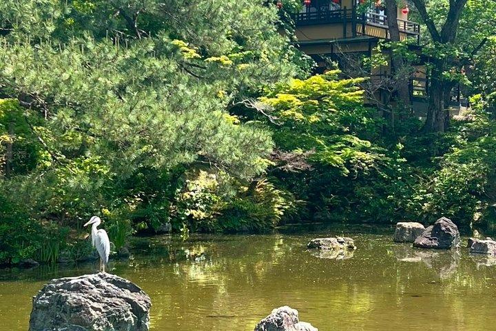 京都・祇園散歩 with ローカル 文化・芸者ワールド