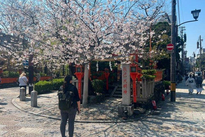 京都・祇園散歩 with ローカル 文化・芸者ワールド