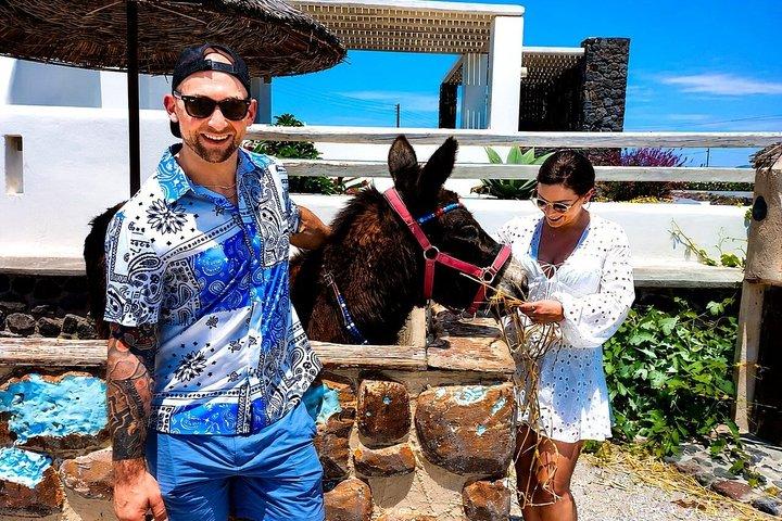 Santorini Olive Oil Tasting and Farm to Table Experience