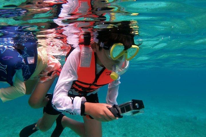 Excursion de plongée en apnée partagée à la plage d'El Cielo à Cozumel