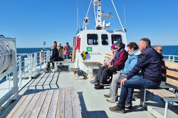 Andenes Whale Safari: Visita à baleia ártica em Vesterålen