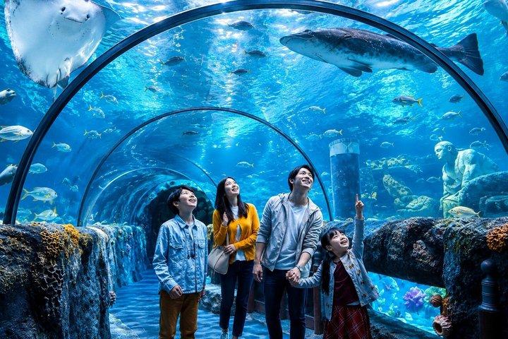 イスタンブール水族館入場料とホテル送迎
