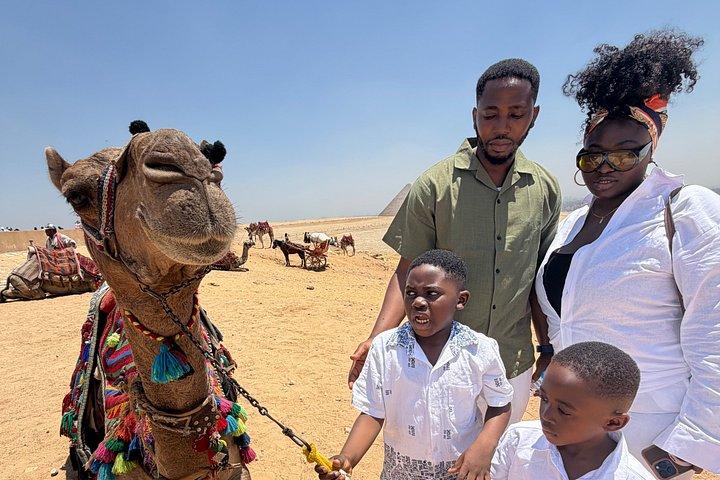 Giza pyramider med sfinx & 9 pyramider med kamel og frokost
