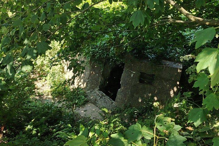Private Day Tour Omaha beach and Pointe du Hoc